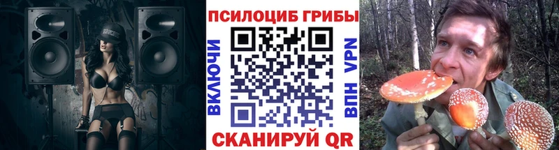 Псилоцибиновые грибы прущие грибы  МЕГА как зайти  Рудня 